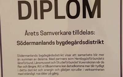 Diplom för god samarbetsförmåga